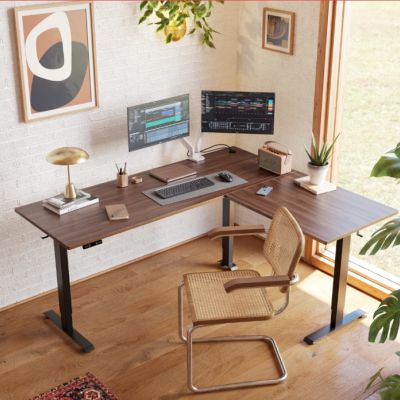 Embrace Productivity with Fezibo Standing Desk: A Game-Changer in Your Work Setup