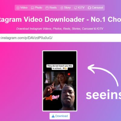 Download Instagram Video from seeinsta.com