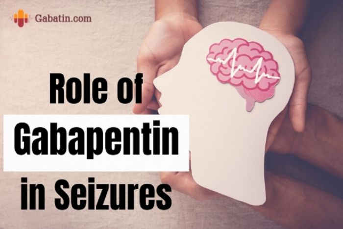 Role of Gabapentin on Seizures
