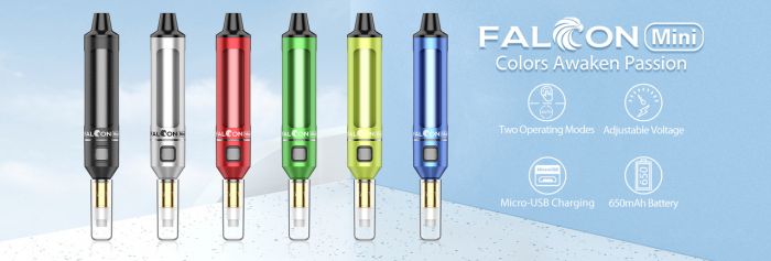 Nicotine and E Juice for Vapes
