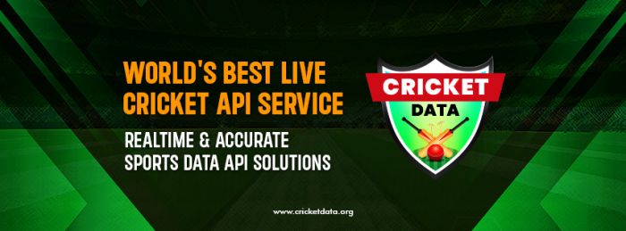 Is There anAPI for Real-Time Cricket Scores?