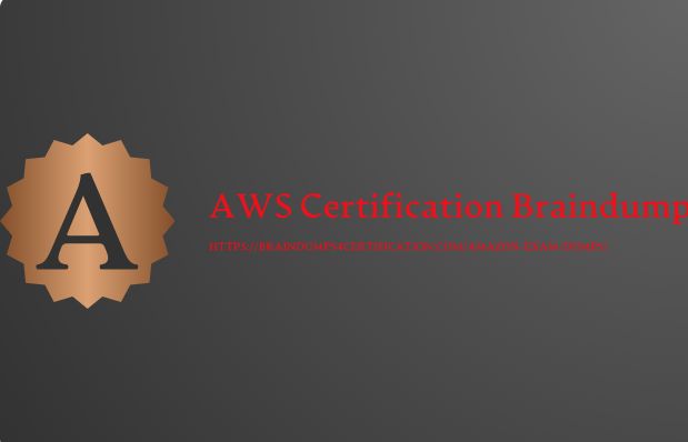 Amazon AWS Certification Dumps | Actual Exam Questions