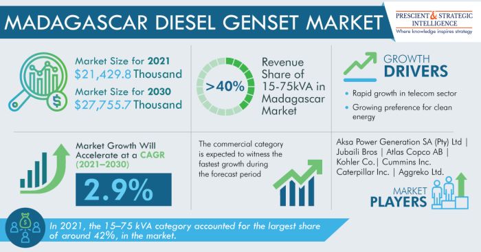 Madagascar Diesel Genset Market Analysis by Trends, Size, Share, Growth Opportunities, and Emerging Technologies
