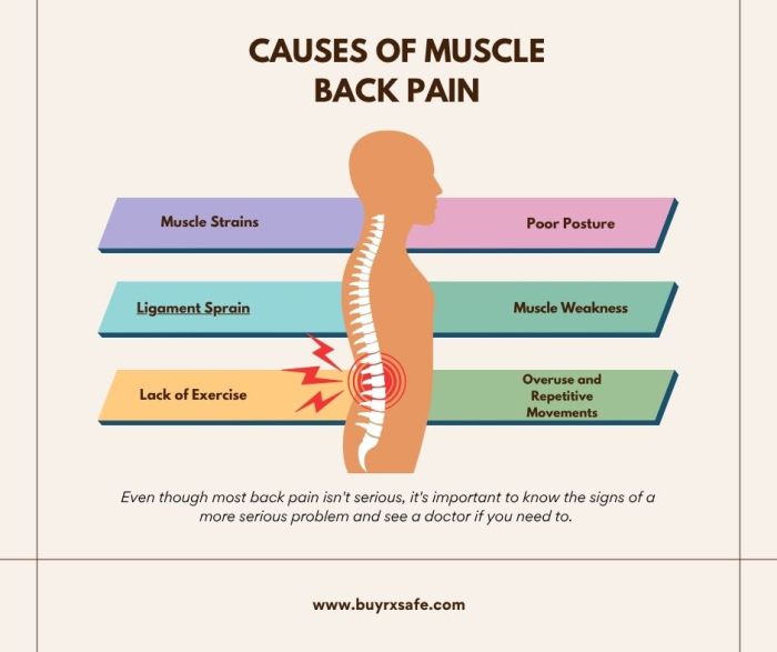 Walking Every Day May Be the Best Back Pain Cure