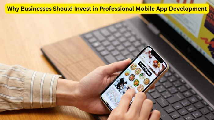 Why Businesses Should Invest in Professional Mobile App Development