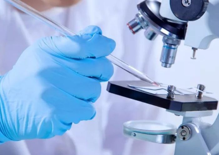 iPSC Differentiation: Driving the Next Wave of Regenerative Medicine