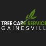 treecareservicegainesville