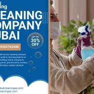 idealcleaning