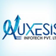 auxesisinfotech