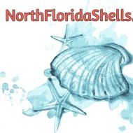 NorthFloridaShells