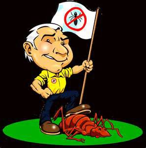 An Argument for Natural Pest of Bug Management