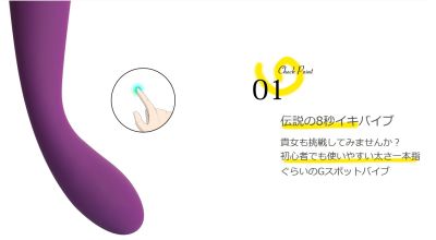 Comprehensive inventory of sexual appliances