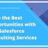 Salesforce Consulting in USA